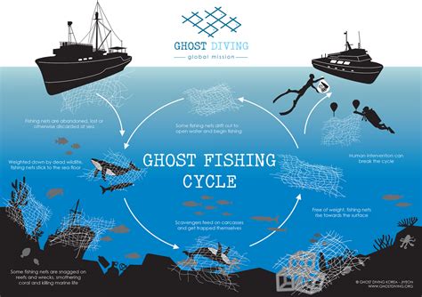 ghost fishing|How data and tech can help combat illegal fishing .